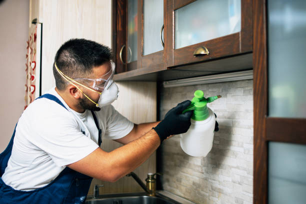 Best Pest Inspection Near Me  in St Simons, GA