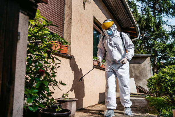 Best Rodent Control Near Me  in St Simons, GA