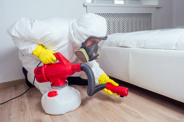 Best Rat Extermination Near Me  in St Simons, GA
