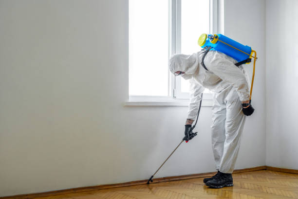 Best Best Pest Control Companies  in St Simons, GA