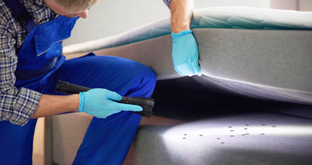 Best Residential Pest Control  in St Simons, GA