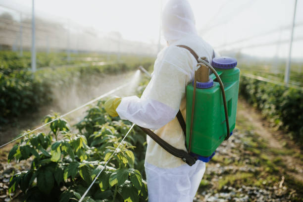 Pest Prevention Services in St Simons, GA